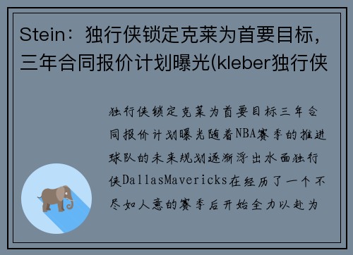Stein：独行侠锁定克莱为首要目标，三年合同报价计划曝光(kleber独行侠)
