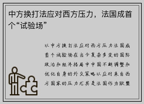 中方换打法应对西方压力，法国成首个“试验场”