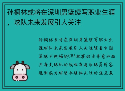 孙桐林或将在深圳男篮续写职业生涯，球队未来发展引人关注