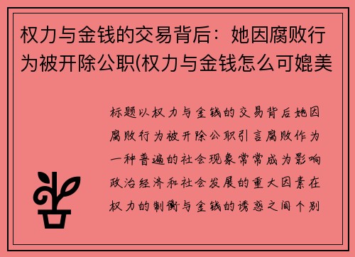 权力与金钱的交易背后：她因腐败行为被开除公职(权力与金钱怎么可媲美)