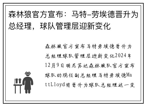 森林狼官方宣布：马特-劳埃德晋升为总经理，球队管理层迎新变化
