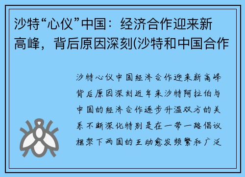 沙特“心仪”中国：经济合作迎来新高峰，背后原因深刻(沙特和中国合作)